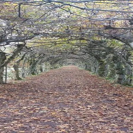 Balmoral Hot Tub ספא